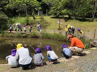 サマーデイキャンプ ザリガニ釣り ならの木保育園