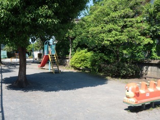 15.jpg