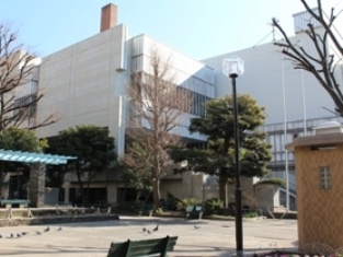 251.jpg