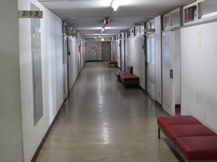 255.jpg