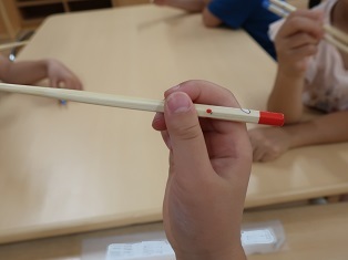 4486.jpg