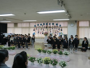 6732.jpg